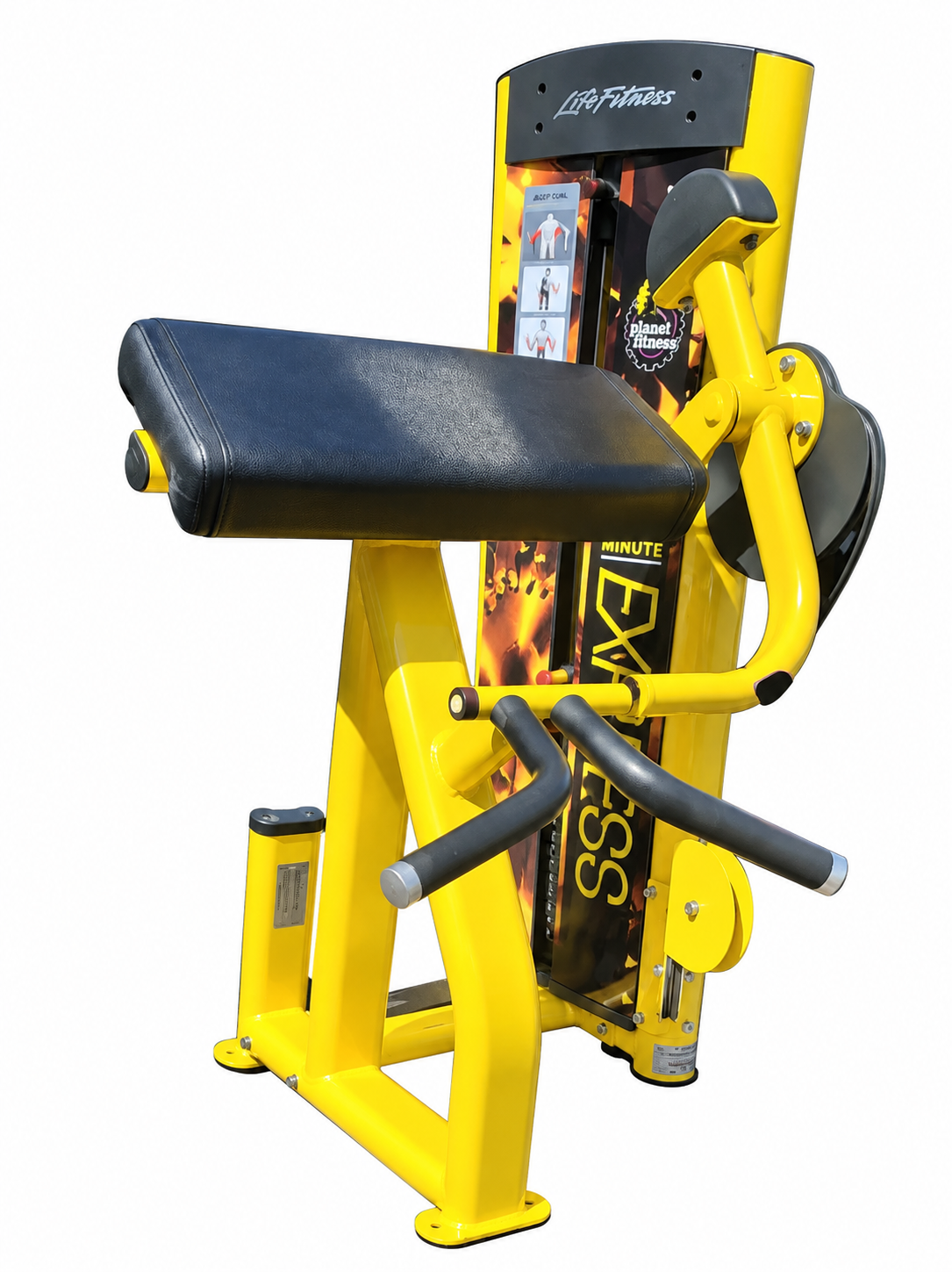 Curl de Biceps Life Fitness