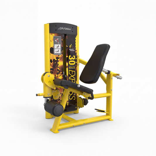 Extension de Pierna Life Fitness